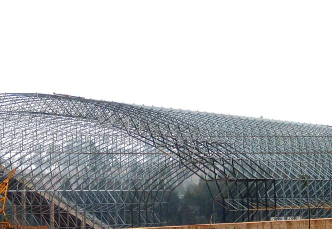 東駿水泥有限公司粉砂巖預均化堆場、原煤預均化堆場螺栓球節點拱形頂大型網架